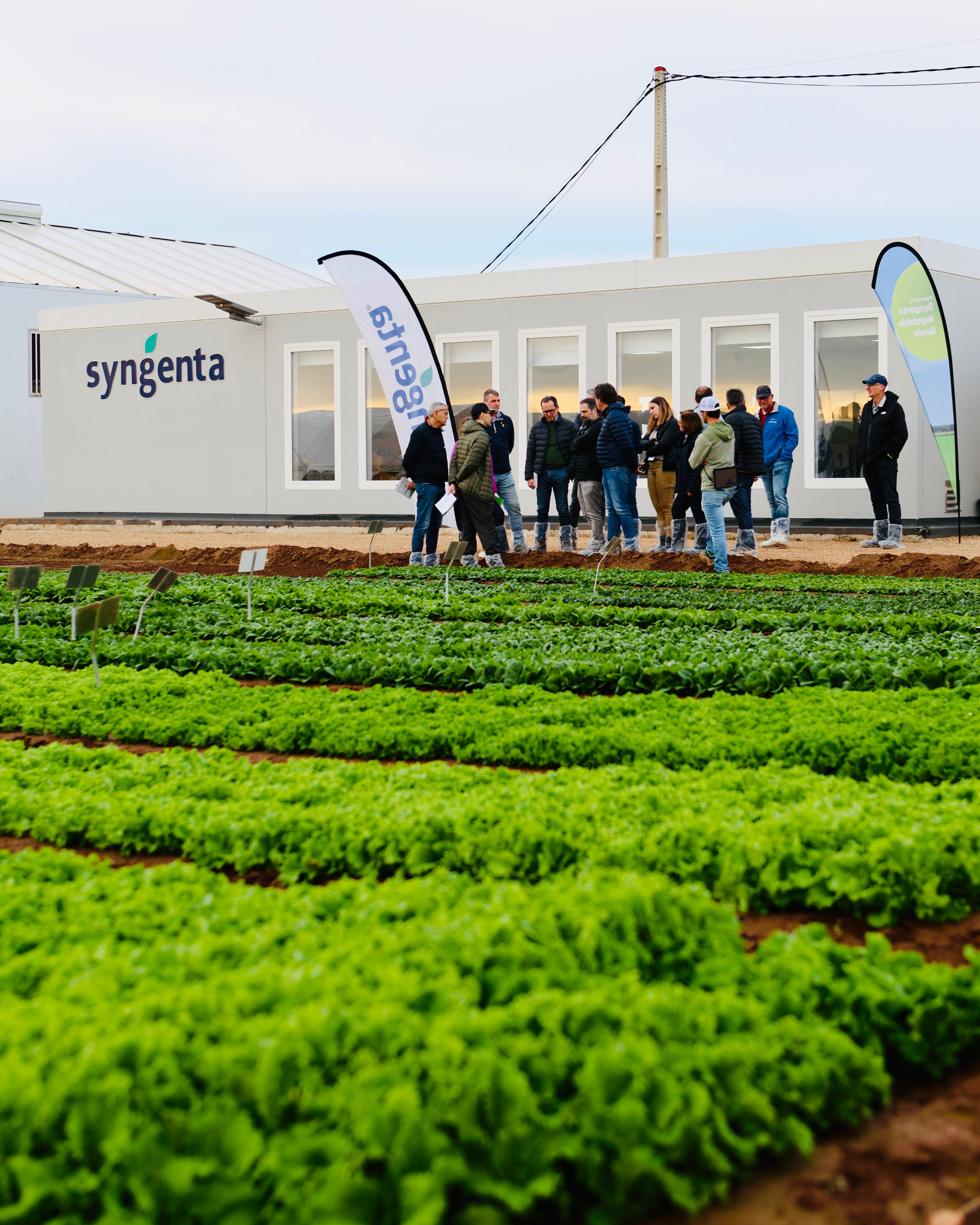 Demo Days Salads 2026