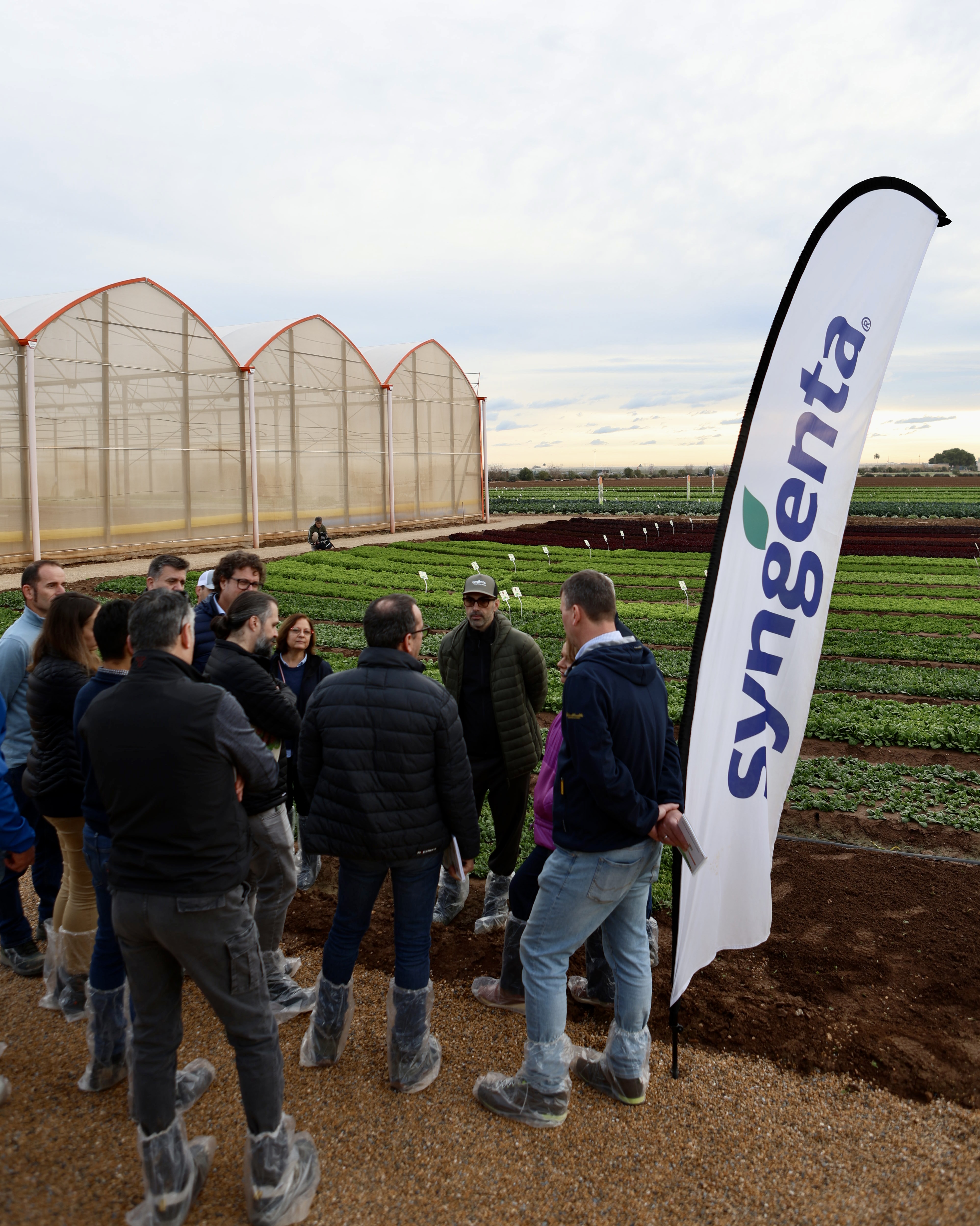 Demo Days Salads 2026