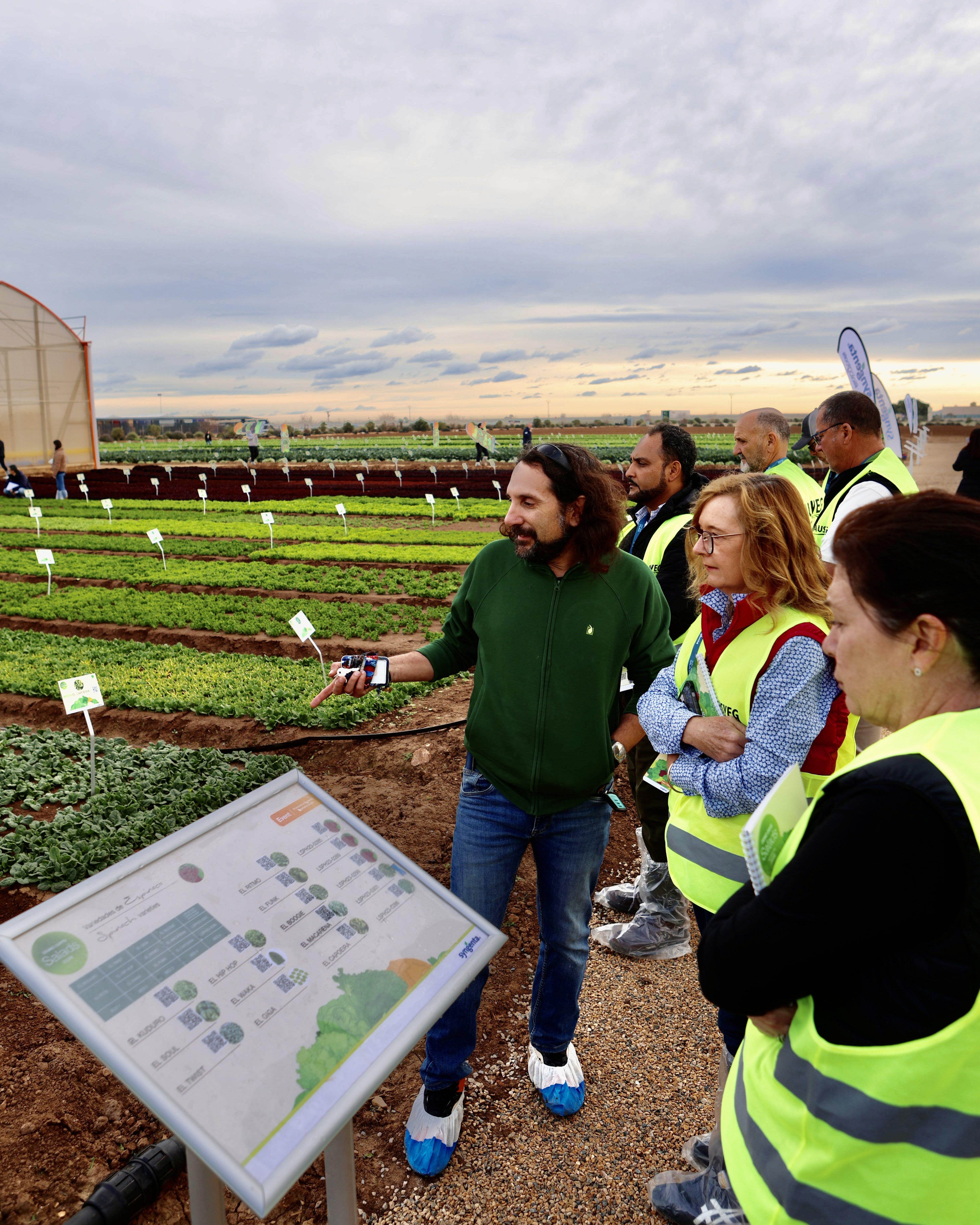 Demo Days Salads 2026