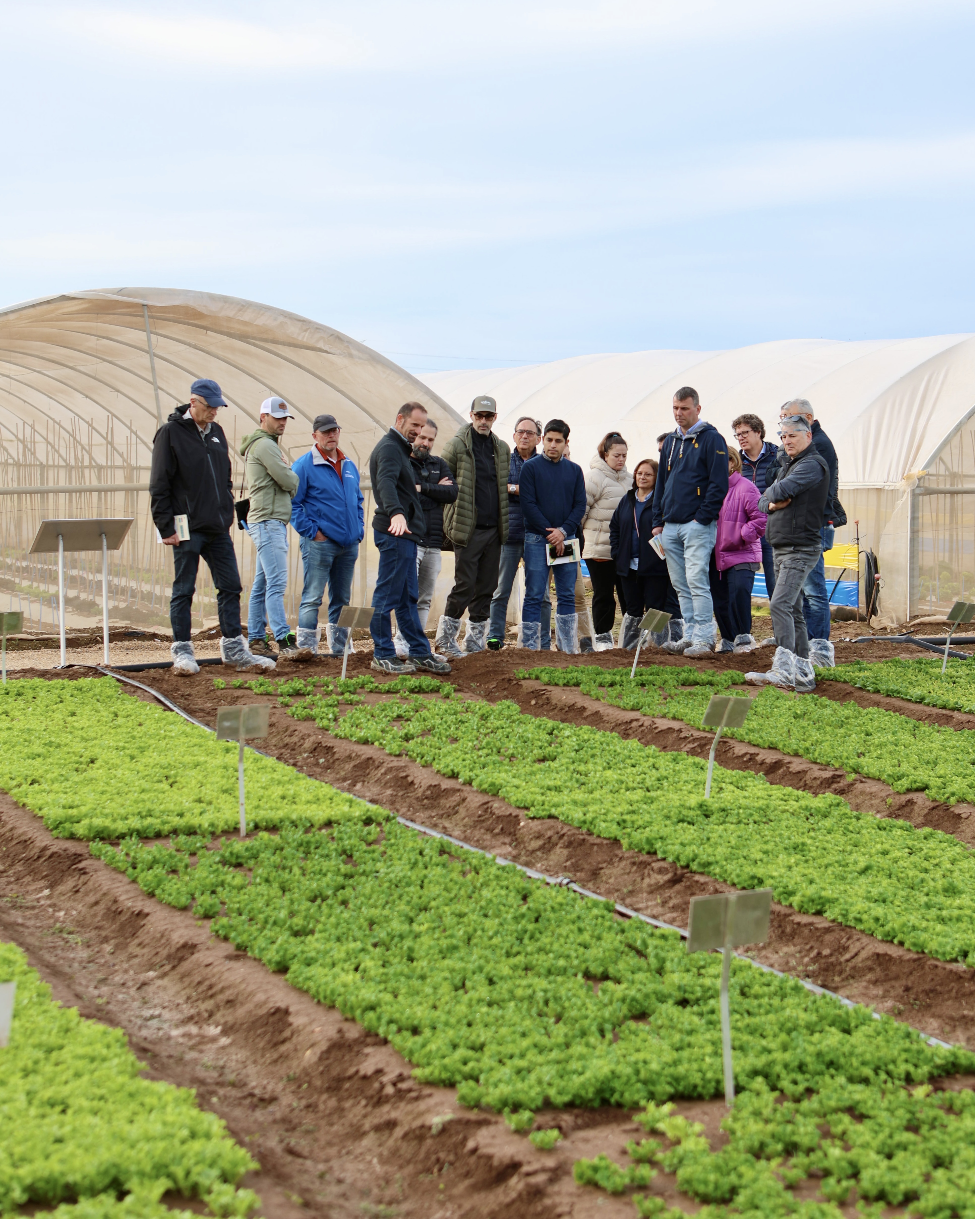 Demo Days Salads 2026