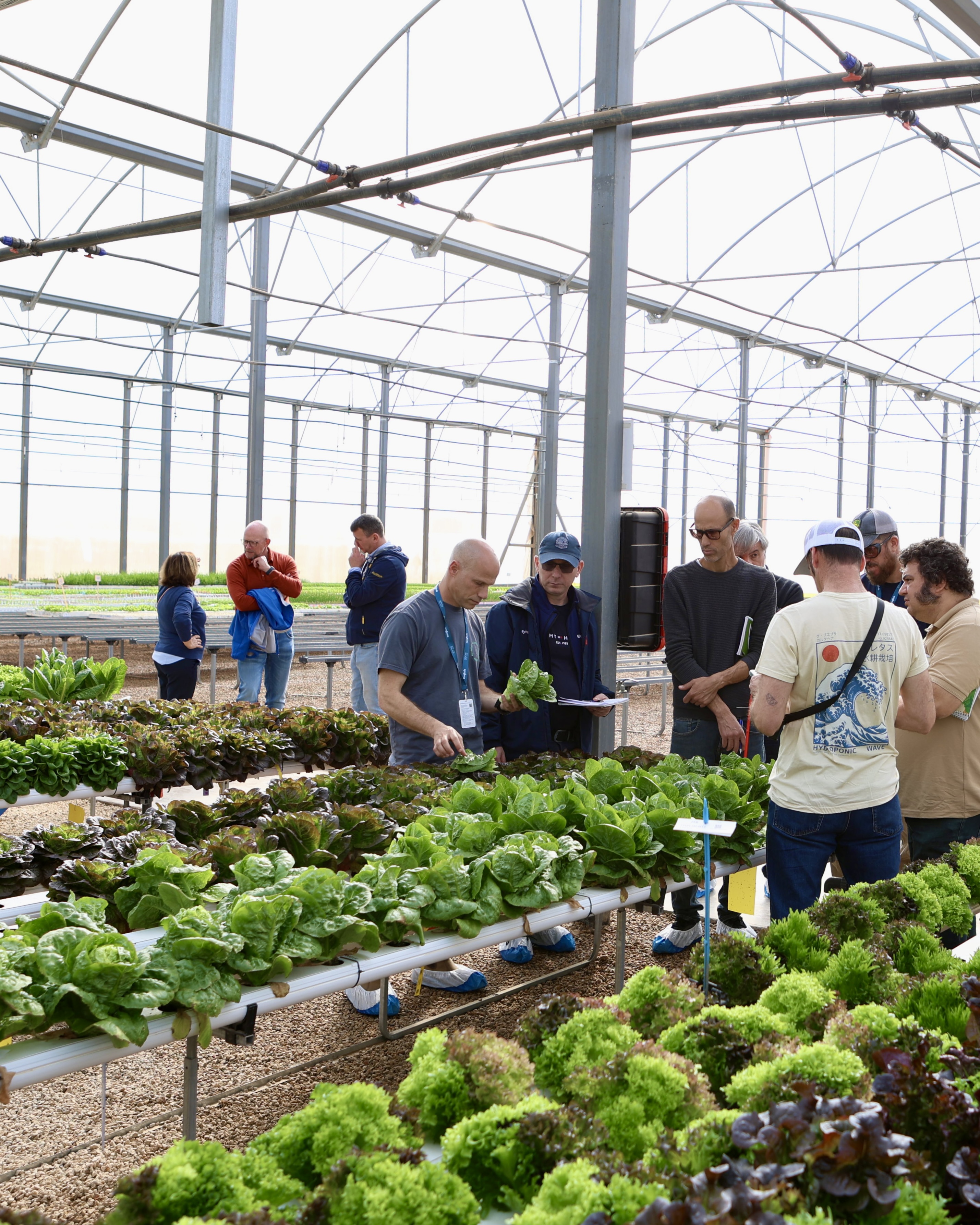 Demo Days Salads 2026