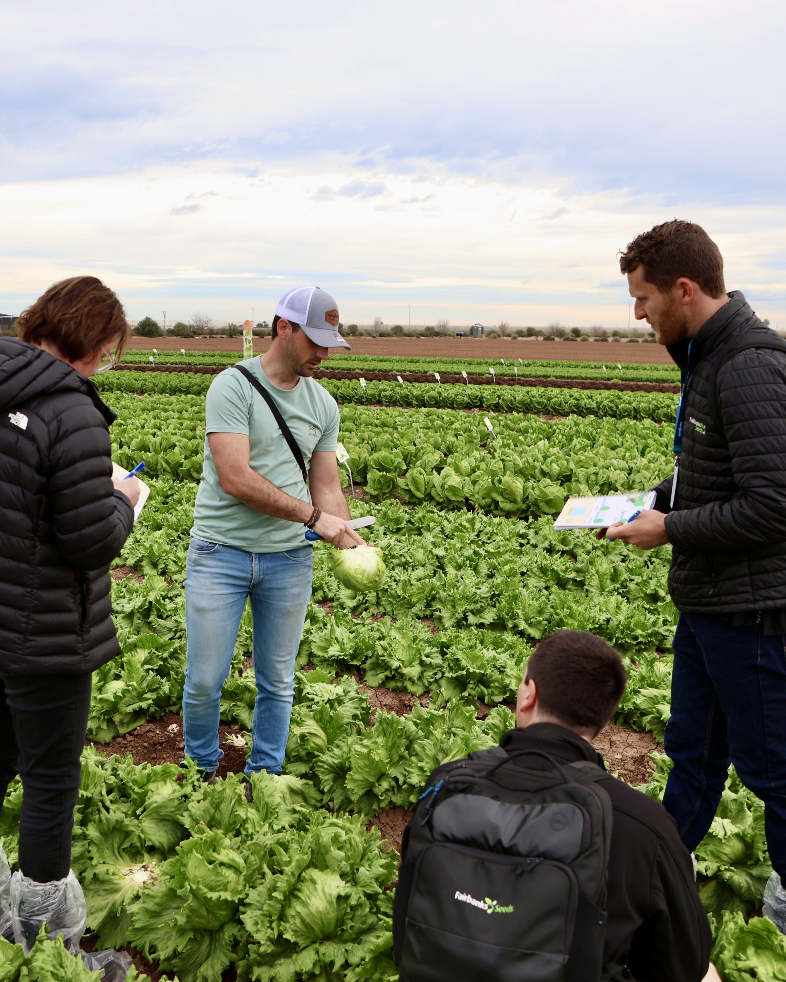 Demo Days Salads 2026