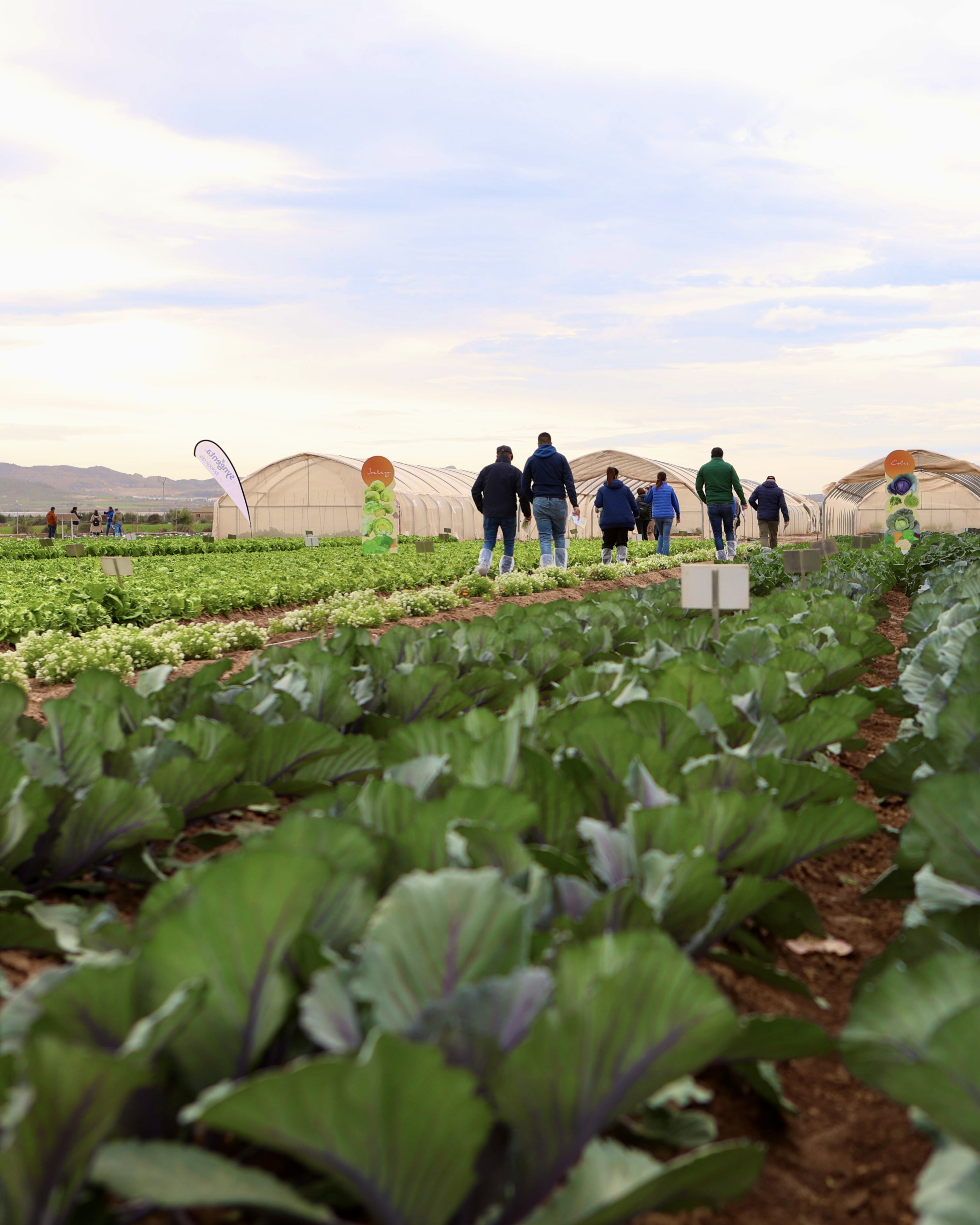 Demo Days Salads 2026