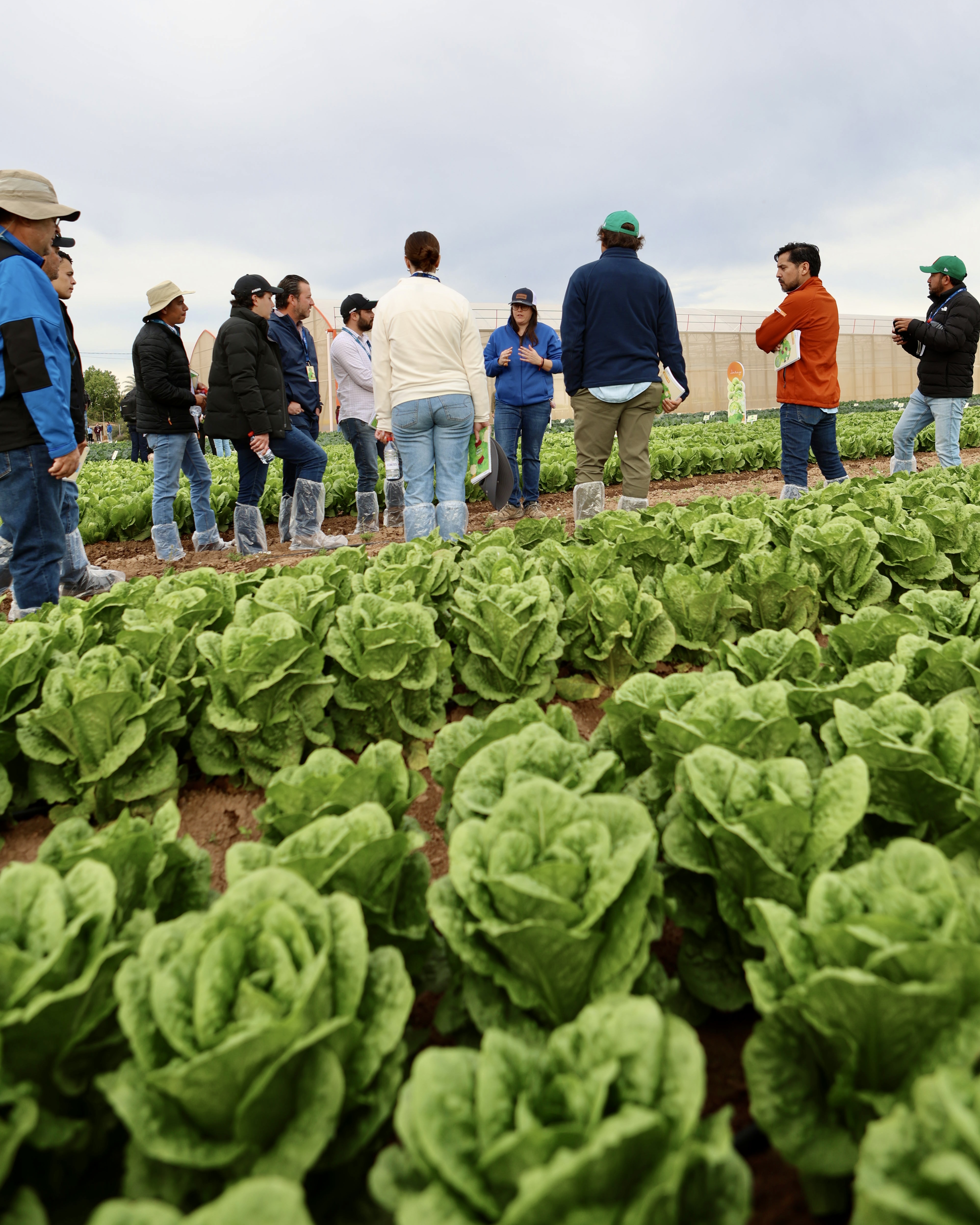 Demo Days Salads 2026