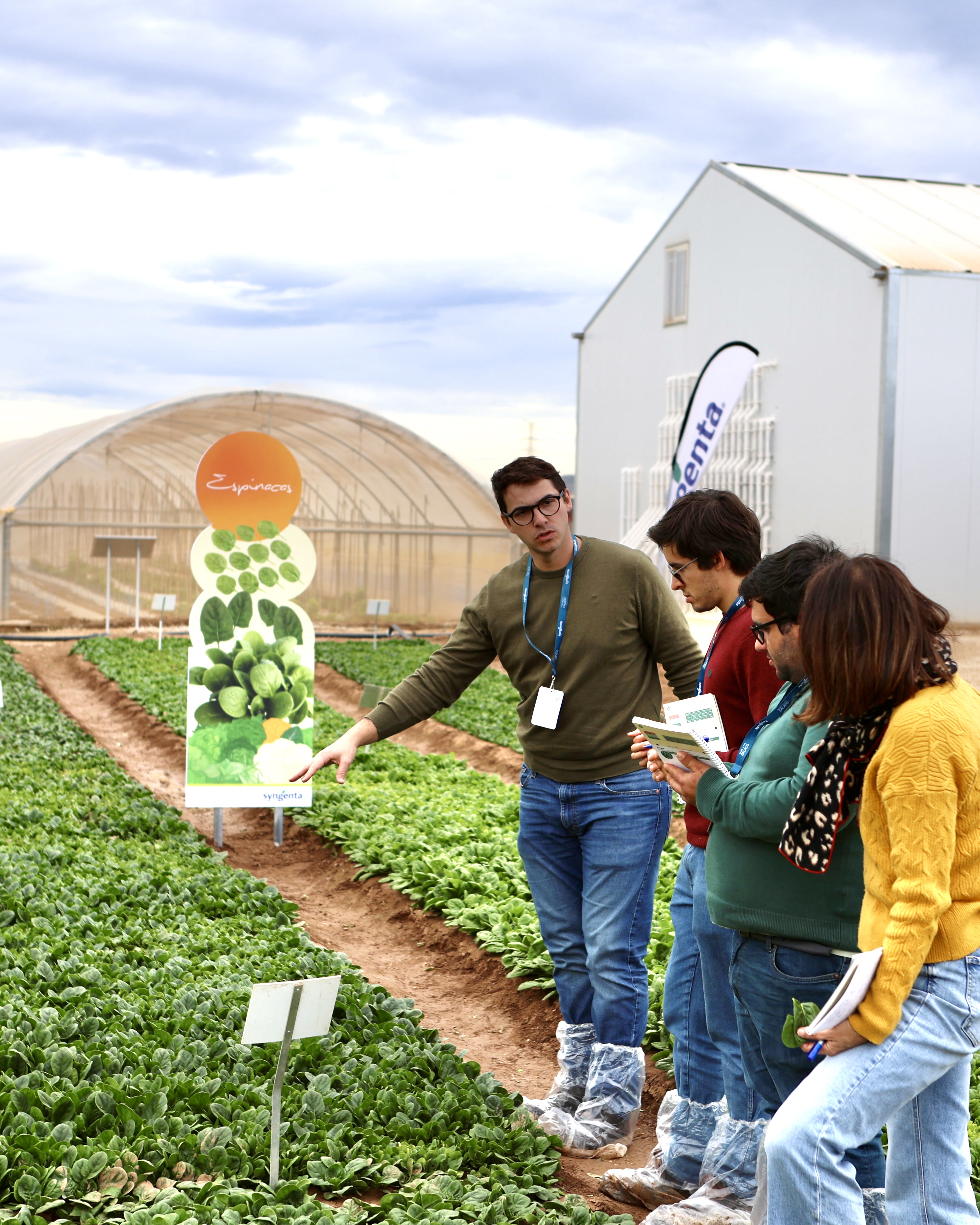 Demo Days Salads 2026