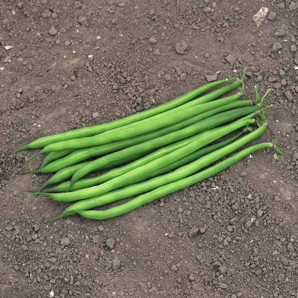 webimage-Serengeti-R00117-NL-