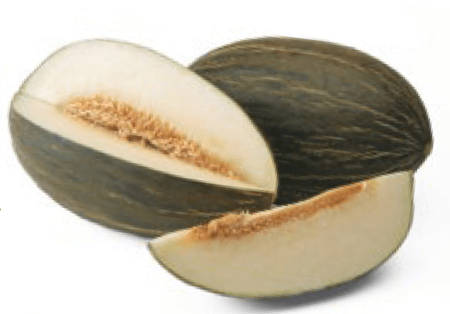 MC18584 - Variedad Melón | Syngenta Semillas de Hortícolas
