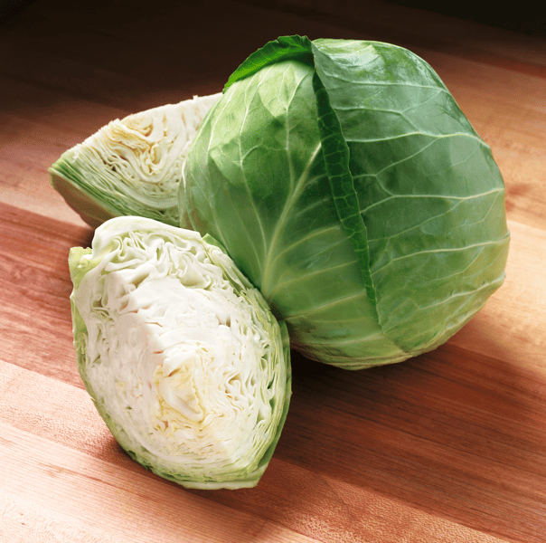 KILACEES - Variety White Cabbage | Syngenta Vegetable Seeds US