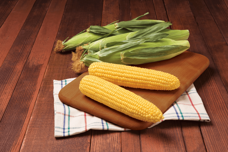 GH6462 - Variety Sweet Corn | Syngenta Vegetable Seeds US