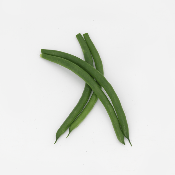 MOMENTUM - Variety Garden Bean | Syngenta Vegetable Seeds US