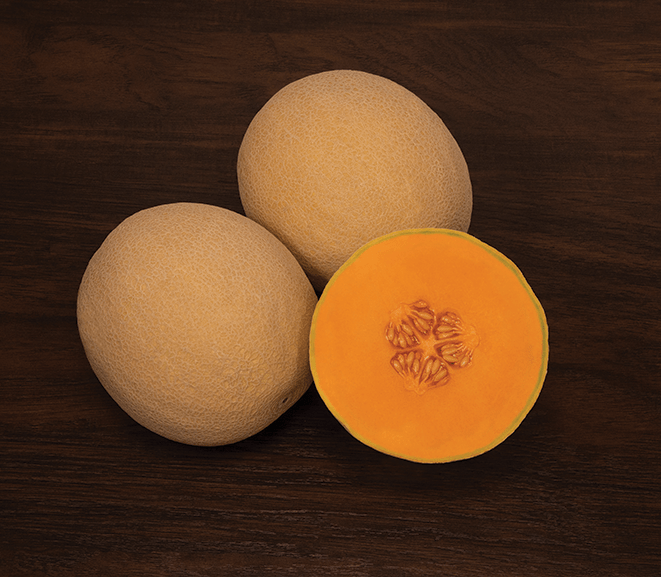 MS4313 - Variety Melon | Syngenta Vegetable Seeds US