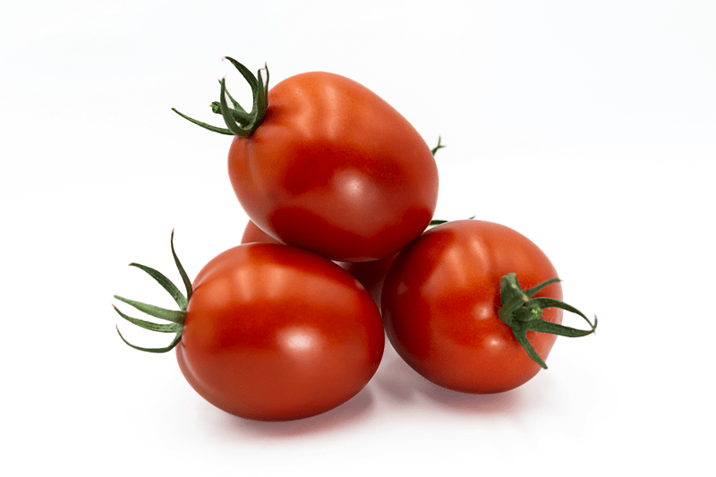 CL9669 - Variety Tomato | Syngenta Vegetable Seeds Australia