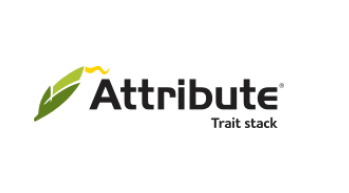 Attribute®️ T