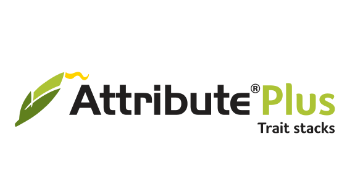 Attribute®️ Plus