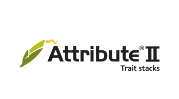 Attribute®️II
