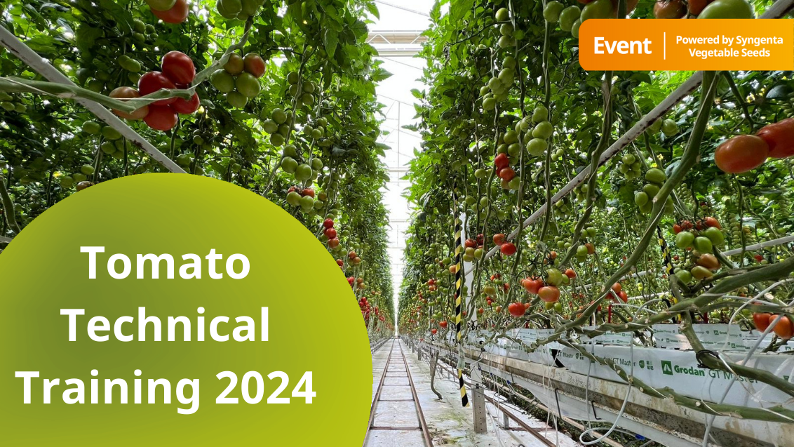 Tomato Technical Training