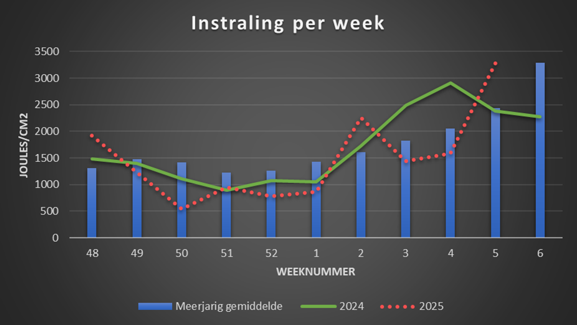 Instraling per week