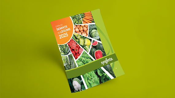 Catalog_2025