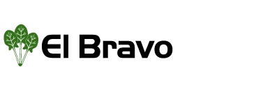 webimage-El-Bravo-logo-400x135-png.png