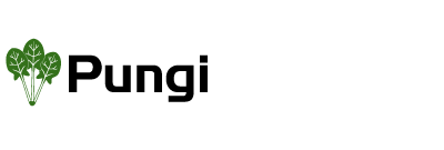 webimage-Pungi-logo-400x135-png.png