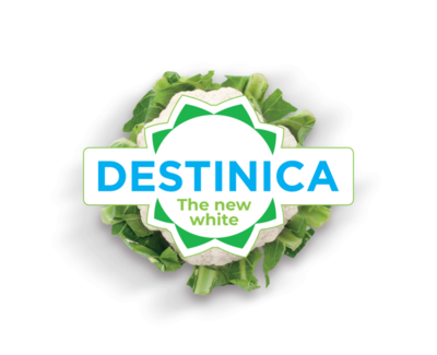 webimage-Destinica_Logo-eps.png