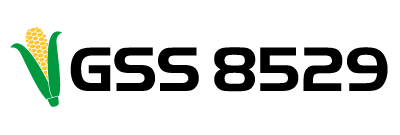 webimage-GSS-8529_400x135_logo-png.png