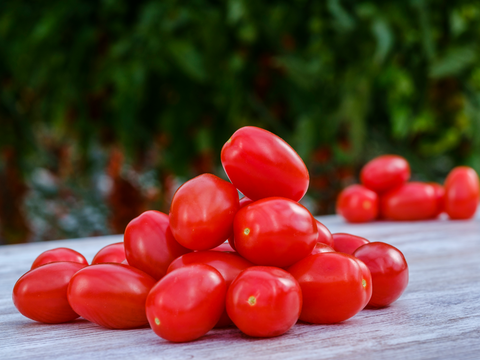 webimage-Tomato-Cherry-TIPM22-6001R.png