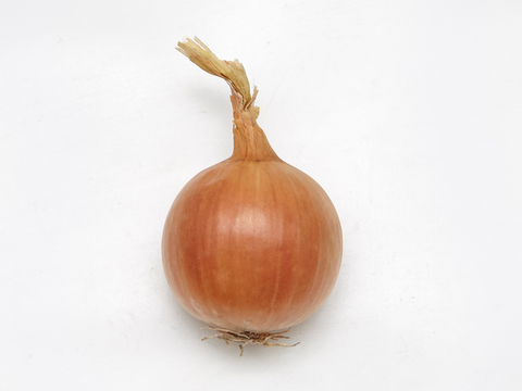 webimage-Onion-Starton-SG8408-2768.png