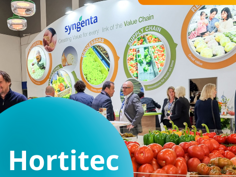 Hortitec Tradeshow Syngenta Vegetables Brazil Retail Event