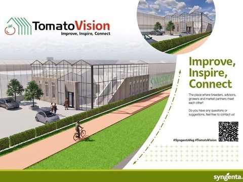 tomato vision flyer