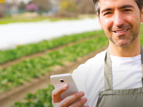 Grower holding a smartphone