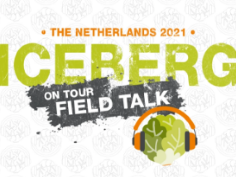 Field talk