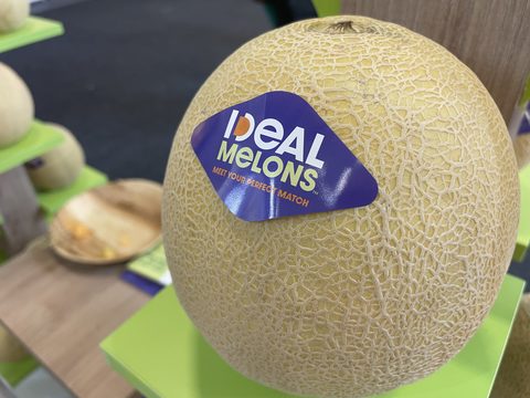 IDEAL Melons