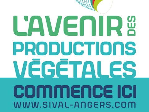 20230505-sival-affiche-2024-master
