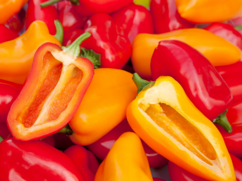Seedless sweet pepper