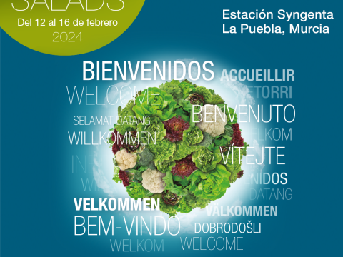 Demo Days Salads 2024