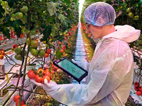 syngenta-source