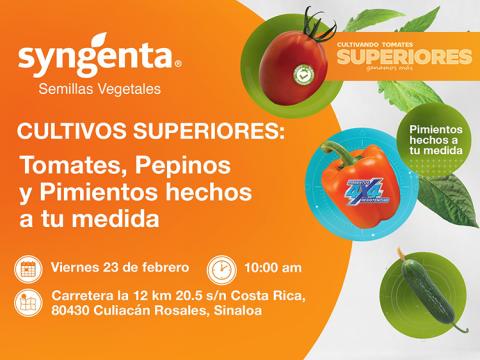 Cultivos Superiores Mexico
