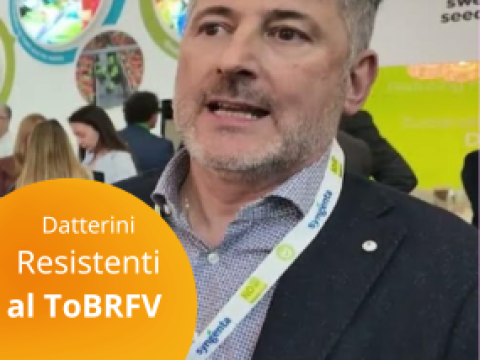 Bruno Busin at Fruit Logistica