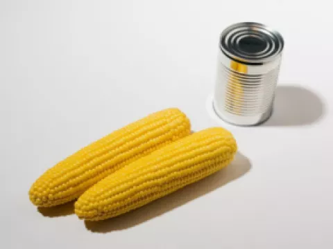 processing_and_fresh_sweet_corn_sumbn