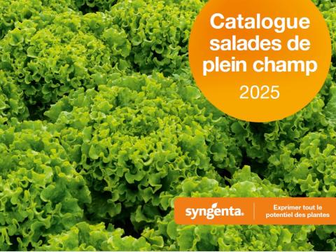 Catalogue salade PC