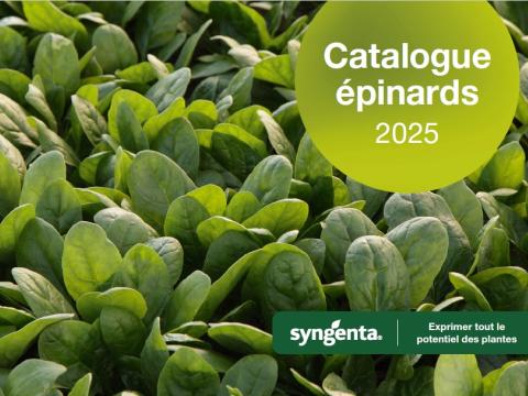 catalogue épinards