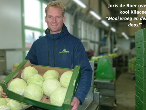 Joris de Boer met witte kool Kilacees