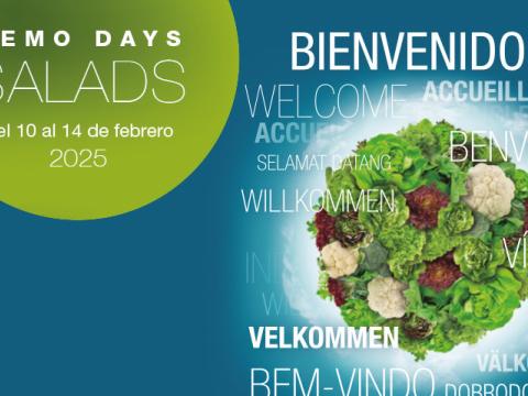 Demo Days Salads 2025
