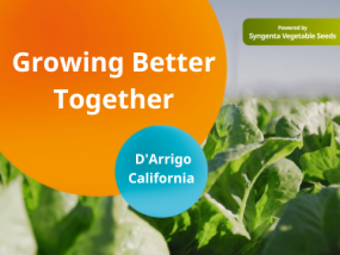 thumbnail image - darrigo california