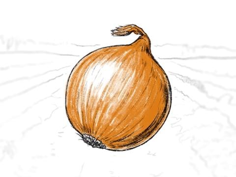 Орондіс Ультра
