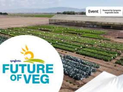 Future of Veg_Salinas