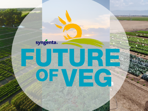Future of Veg Landing Page