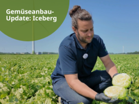 Gemüsebau-Update IceCountry
