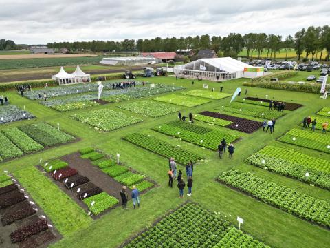 Fields of Innovation